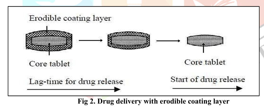 Màng bao nứt vỡ sau thời gian tiềm tàng bộc lộ nhân. Môi trường sẽ thấm ướt vào nhân giải phóng ra hoạt chất theo các cơ chế như nhân trương nở, nhân tạo áp suất thẩm thấu, nhân sinh khí.